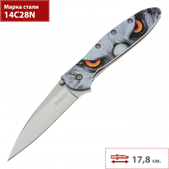 Складной нож KERSHAW LEEK HAWK 1660HAWK